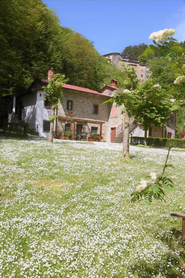 Il Molino Di Serravalle ビッビエーナ エクステリア 写真