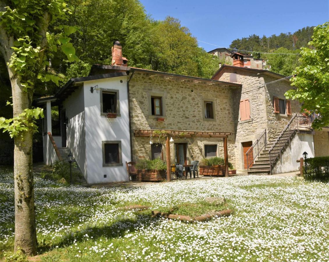 Il Molino Di Serravalle ビッビエーナ エクステリア 写真