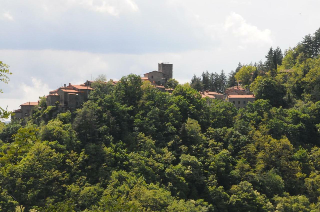 Il Molino Di Serravalle ビッビエーナ エクステリア 写真